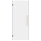 #10H3276 Hinged Frameless Shower Door 32x76